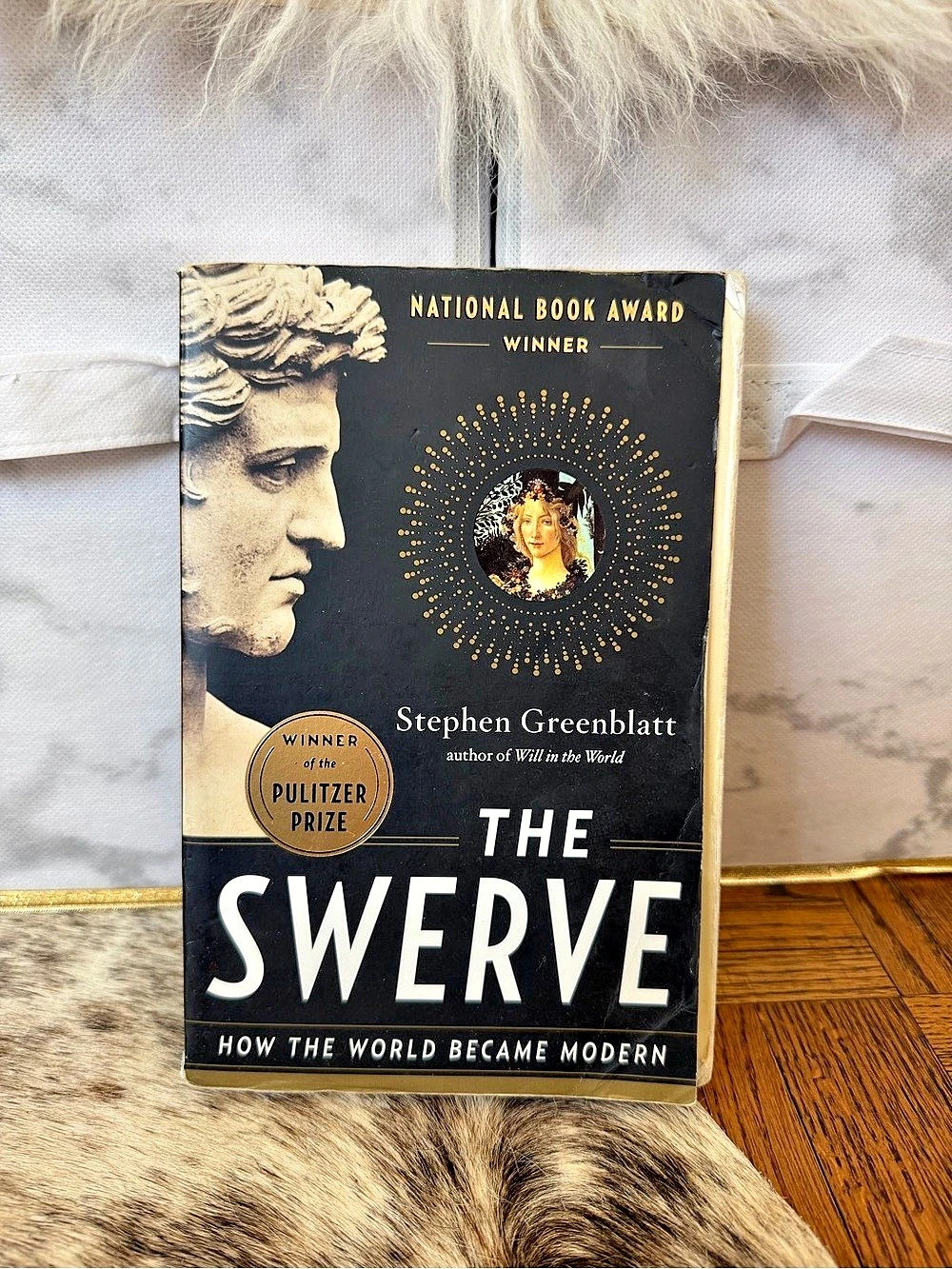 The Swerve: How the World Became Modern Book Black & Gold